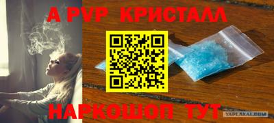 хмурый Донской