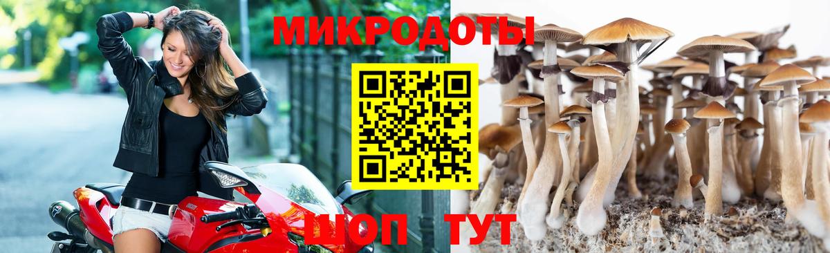 Псилоцибиновые грибы Psilocybe  Вход с VPN  Ливны 